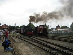 IMG_0134 (Medium)